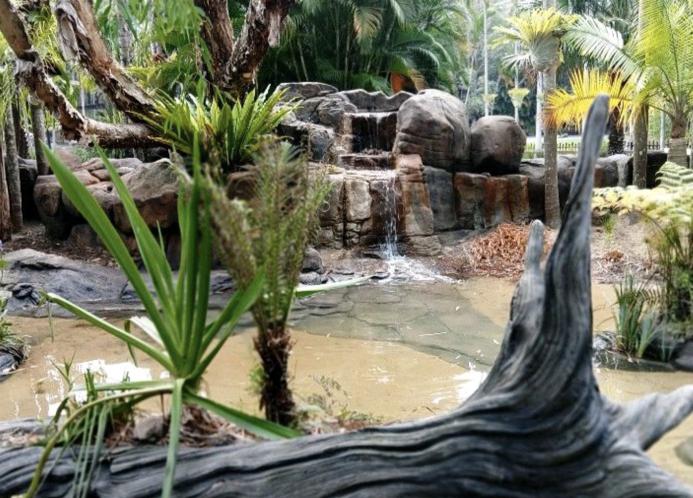 Cameron Chapman is responsible for concrete sculptures and habitats at Australia Zoo