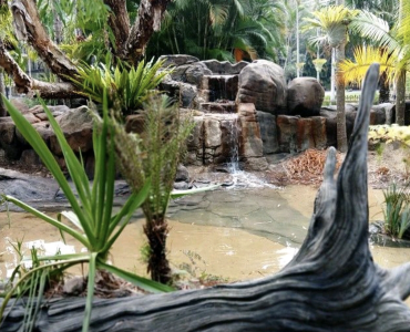 Cameron Chapman is responsible for concrete sculptures and habitats at Australia Zoo