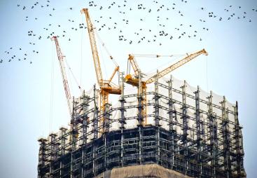 The top of an under construction high rise building with three yellow tower cranes on top and a small flock of birds flying past