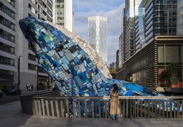 The Whale on the Wharf 