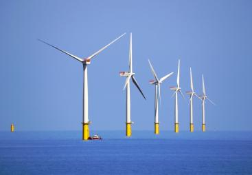 Six white and yellow wind turbines on a calm sea, part of the Walney Offshore Windfarm. Image: David Nixon / Creative Commons.