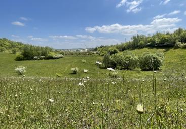 A view of the restored Kensworth Quarry where Cemex have undertaken a significant land restoration programme to enhance biodiversity across the site. Image: Cemex.