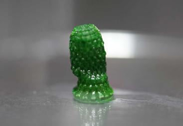 3D-printed "pineapple" with cyanobacteria growing inside after a development period of 60 days.
