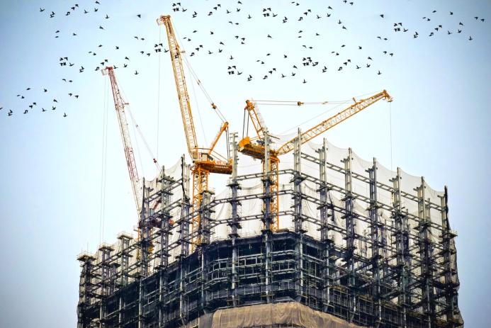 The top of an under construction high rise building with three yellow tower cranes on top and a small flock of birds flying past
