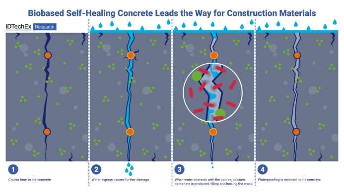 Biobased self-healing concrete leads the way for construction materials. Source: IDTechEx