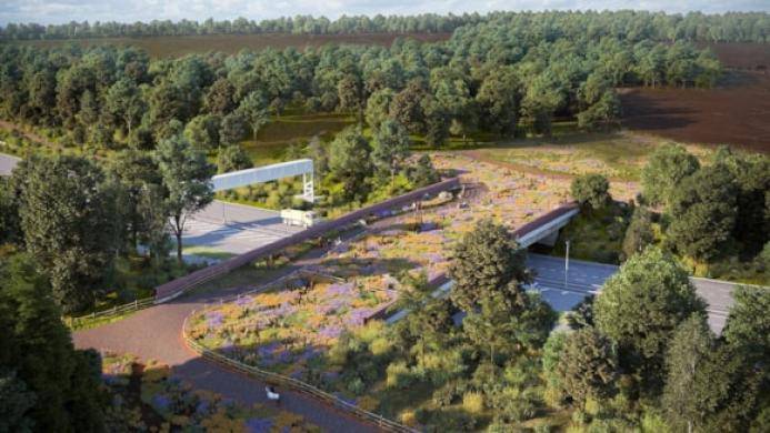 A visualisation of how the Cockrow green bridge will look in the future.