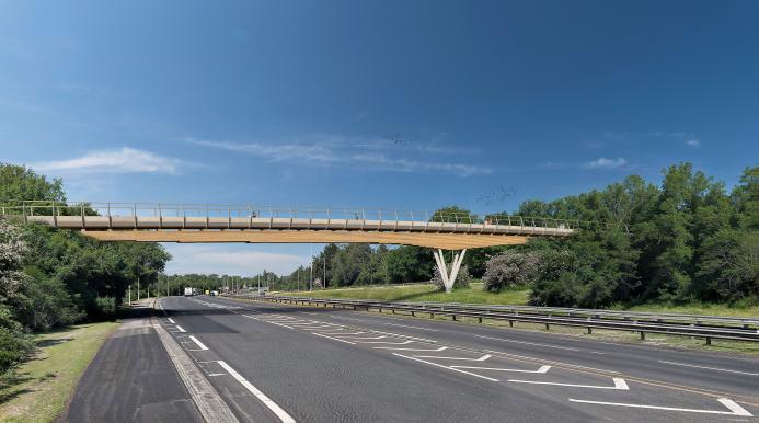 A visual of the low carbon footbridge designed by Arup and Sean Harrington Architects. Image: National Highways.