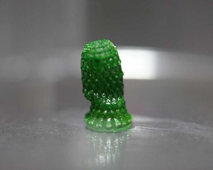 3D-printed "pineapple" with cyanobacteria growing inside after a development period of 60 days.