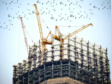 The top of an under construction high rise building with three yellow tower cranes on top and a small flock of birds flying past
