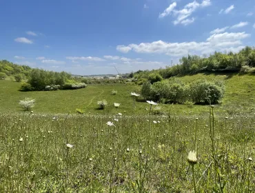 A view of the restored Kensworth Quarry where Cemex have undertaken a significant land restoration programme to enhance biodiversity across the site. Image: Cemex.