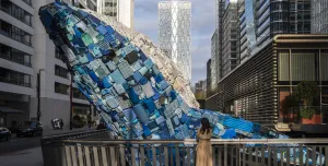 The Whale on the Wharf 