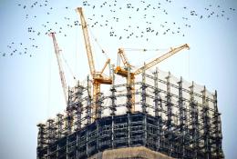 The top of an under construction high rise building with three yellow tower cranes on top and a small flock of birds flying past