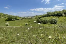 A view of the restored Kensworth Quarry where Cemex have undertaken a significant land restoration programme to enhance biodiversity across the site. Image: Cemex.