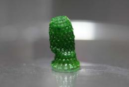 3D-printed "pineapple" with cyanobacteria growing inside after a development period of 60 days.