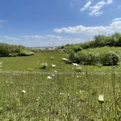A view of the restored Kensworth Quarry where Cemex have undertaken a significant land restoration programme to enhance biodiversity across the site. Image: Cemex.