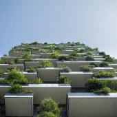 Looking up at the exterior of a high-rise building which features balconies covered in plants