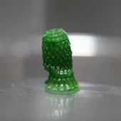 3D-printed "pineapple" with cyanobacteria growing inside after a development period of 60 days.
