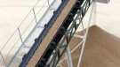 Aggregates on a conveyor belt