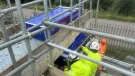 Two people in yellow PPE carry out a bridge inspection from a scaffold suspended from the side of the bridge