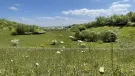 A view of the restored Kensworth Quarry where Cemex have undertaken a significant land restoration programme to enhance biodiversity across the site. Image: Cemex.
