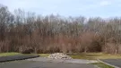 A dead-end road with a pile of illegally dumped concrete hardcore, with trees in the background.